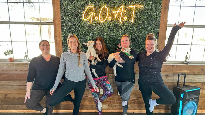 girls holding white goats while doing yoga poses