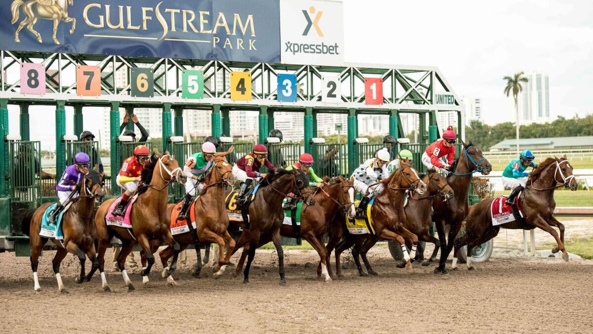 2026 Florida Derby prediction, odds, time, picks from elite horse racing expert