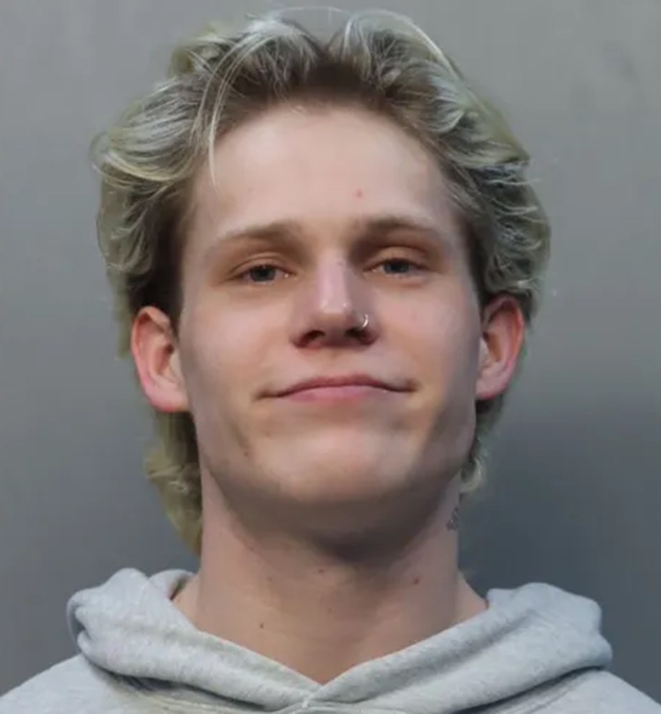 Mugshot of Harrison Oneill Tiernan, a man with blond hair, wearing a gray hoodie and nose ring.