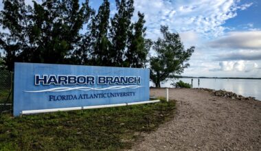 FAU Awarded $900,000 for Gulf of America Sea-Level Research