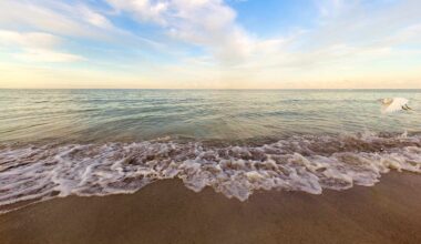 10 Best Gulf Coast Beaches to Visit