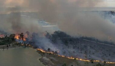 Mandatory evacuation issued in Hernando County area due to brush fire: HCFR