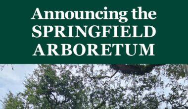 Historic Springfield to become site of new public arboretum and guided tree walks – Action News Jax