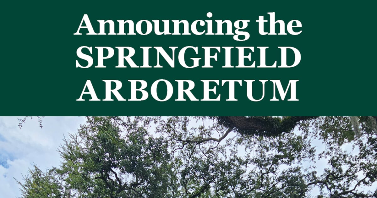 Historic Springfield to become site of new public arboretum and guided tree walks – Action News Jax