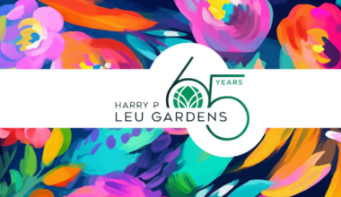 Harry P. Leu Gardens celebrates 65th anniversary with ‘Legacy in Bloom’ events – WFTV