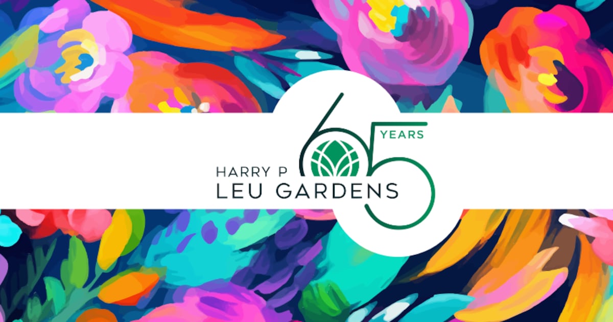 Harry P. Leu Gardens celebrates 65th anniversary with ‘Legacy in Bloom’ events – WFTV