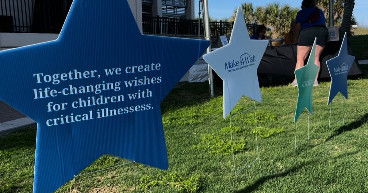 Action News Jax’s Chandler Morgan to emcee Make-A-Wish’s Walk For Wishes – Action News Jax