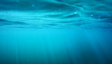 Ongoing Search for Fourth Teen After Lake Jessamine Capsize