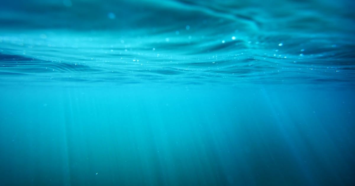 Ongoing Search for Fourth Teen After Lake Jessamine Capsize