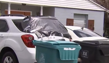 Manhunt underway for car vandal in Orlando's Wadeview Park