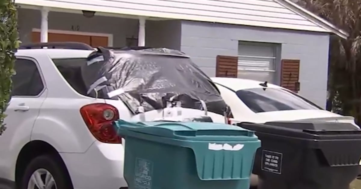 Manhunt underway for car vandal in Orlando's Wadeview Park