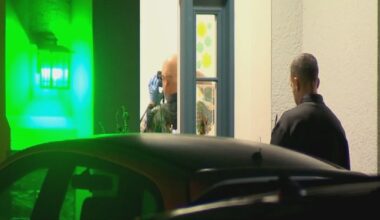 Investigation Underway in Longwood's Bay Meadow Area