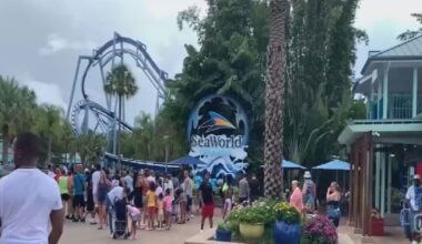 Six people taken to hospital from SeaWorld Orlando, officials say – WFTV