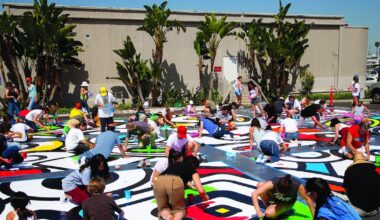 Fleming Island Library hosts ‘Portraits of Hope’ event with artwork to be installed in D.C. – Action News Jax