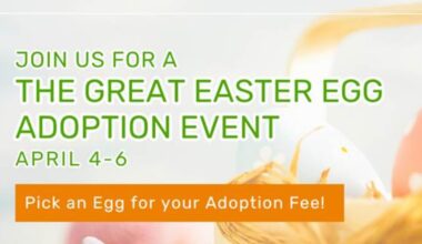 Jacksonville Humane Society hosts Easter adoption event – Action News Jax