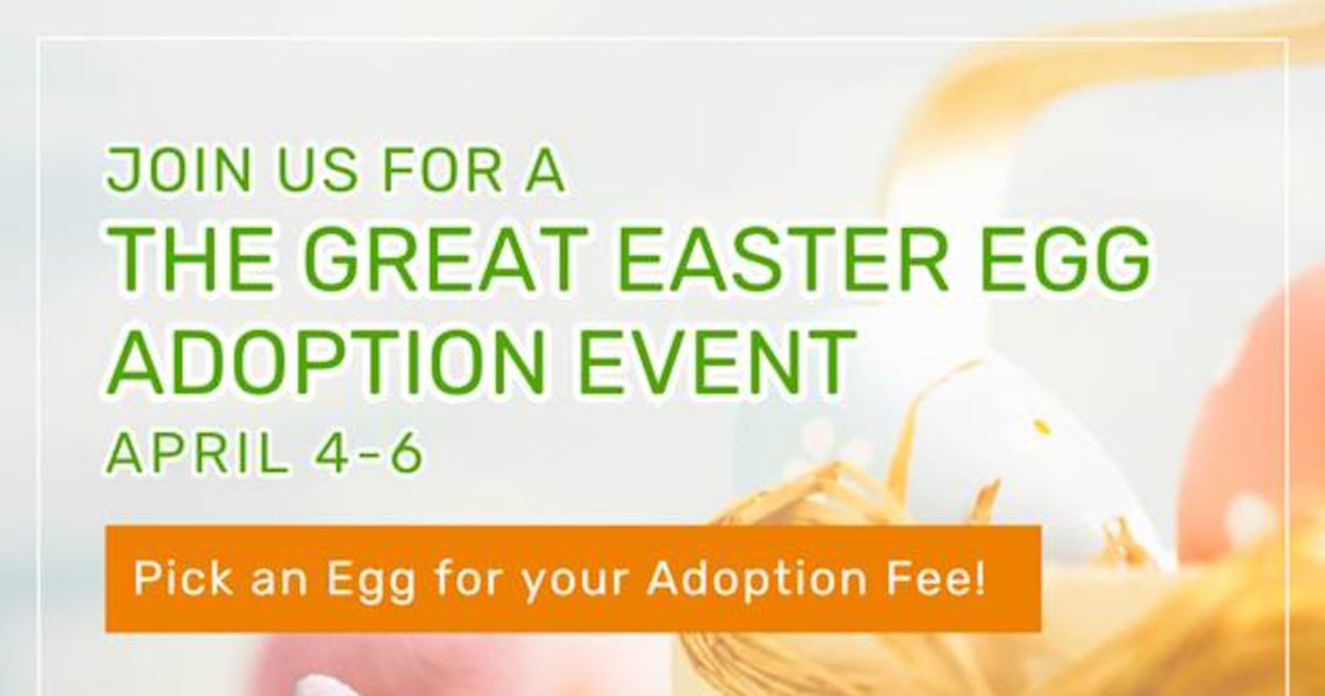 Jacksonville Humane Society hosts Easter adoption event – Action News Jax