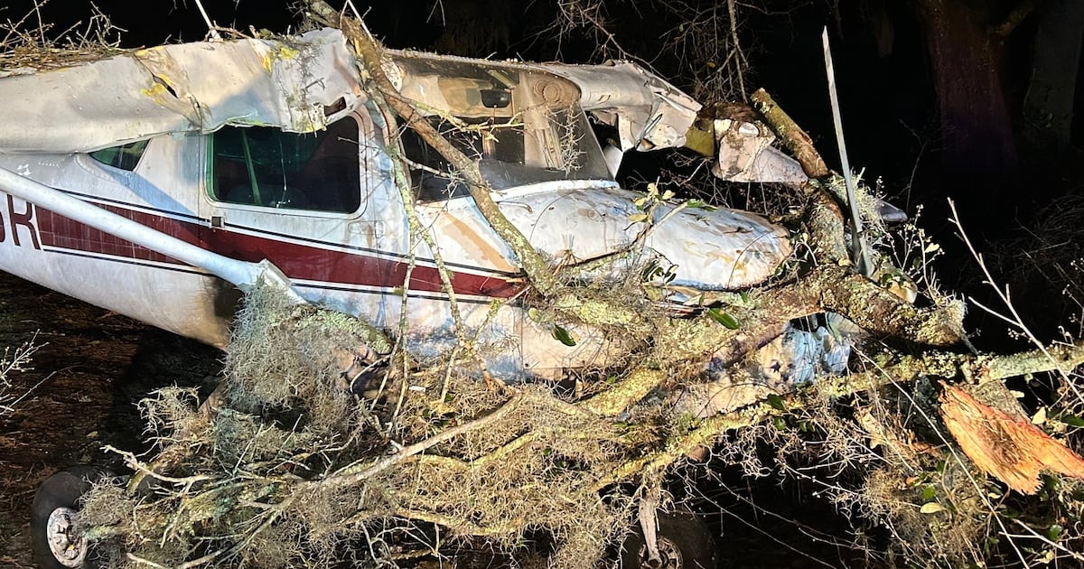 Pilot survives after hitting power lines, trees during emergency landing near Tampa – WFTV