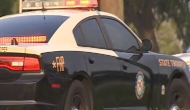 FHP arrests driver after pursuit and foot chase