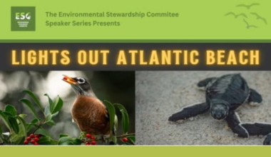 Atlantic Beach launches ‘Lights Out’ Nights to protect birds during migration – Action News Jax