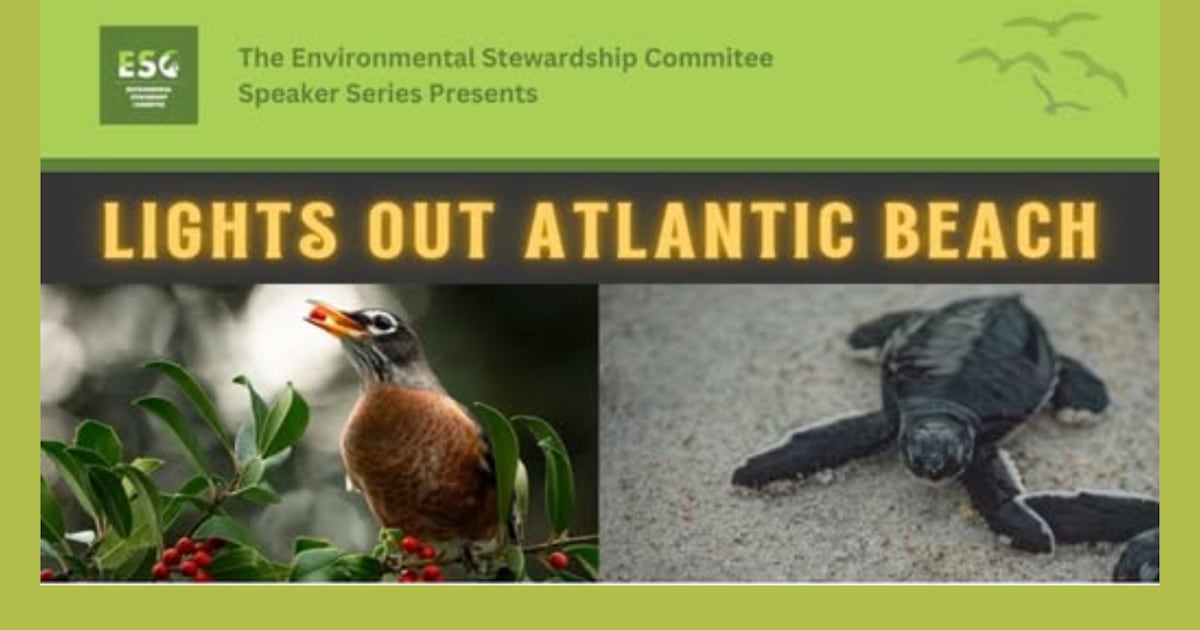 Atlantic Beach launches ‘Lights Out’ Nights to protect birds during migration – Action News Jax