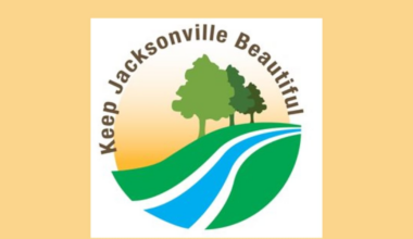 Participate in 31st Annual St. Johns River Celebration Cleanup at dozens of sites in Jacksonville – Action News Jax