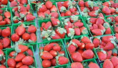 Longwood Strawberry Festival: A Family Affair