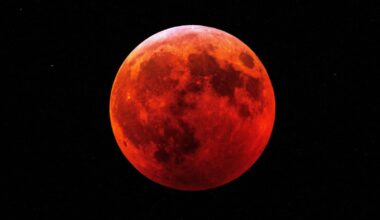Blood Moon: Total Lunar Eclipse to Occur in March 2026