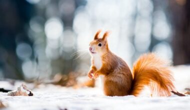 Coldest Marches in Florida since 1895 – Action News Jax