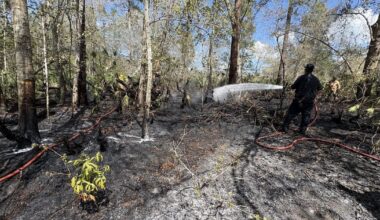 Lightning strike sparks brush fire in Oviedo – WFTV