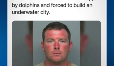 Florida Dolphin Kidnapping Story Addressed By Sheriff