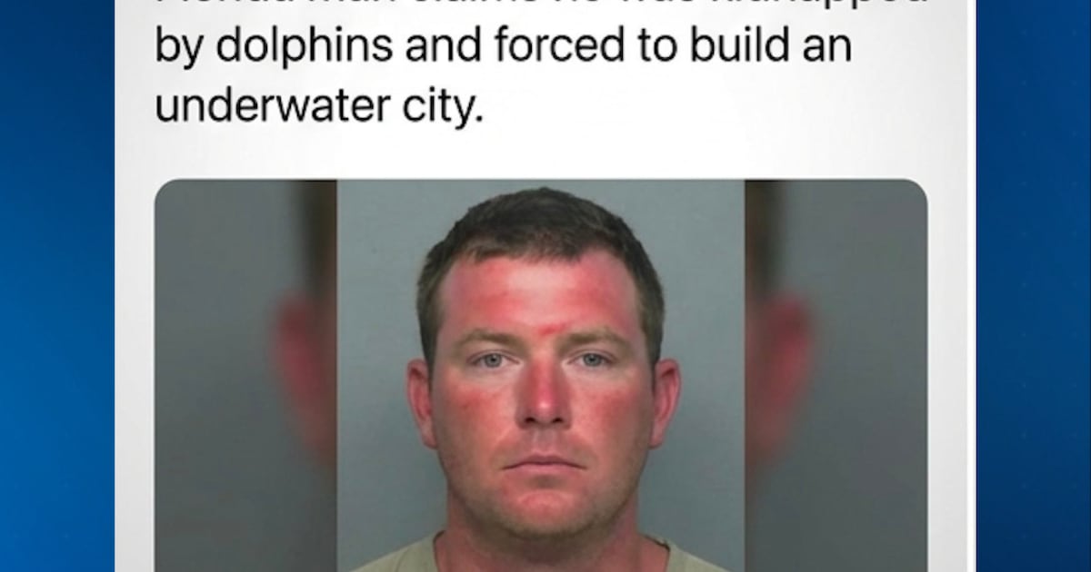Florida Dolphin Kidnapping Story Addressed By Sheriff