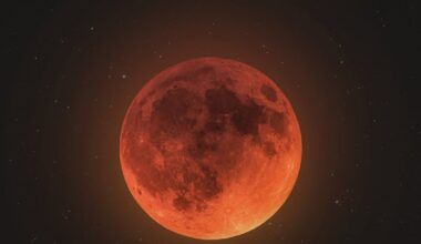 Total lunar eclipse will turn the moon blood red on Tuesday; Here’s how to watch – Action News Jax