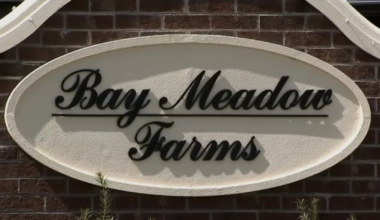 Man arrested for firing shots at kids on ATVs in Longwood