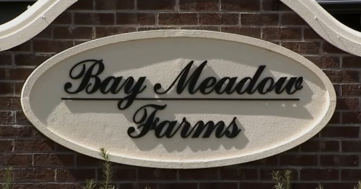 Man arrested for firing shots at kids on ATVs in Longwood