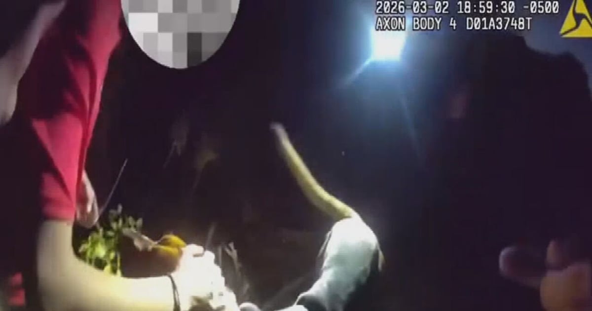 Missing teen with autism located by police K9 in Florida