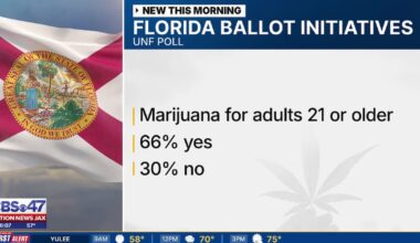 UNF poll shows where Fla. voters stand on marijuana, AI, property taxes, firearms – Action News Jax