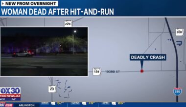 Woman killed in hit-and-run in Jacksonville Heights – Action News Jax
