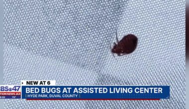 Assisted living management responds after resident complains of bed bug infestation – Action News Jax