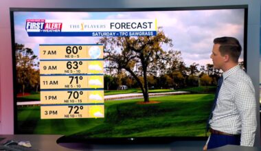 Warm weekend with a few showers returning – Action News Jax