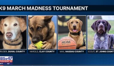 Florida Sheriffs Association kicks off K9 March Madness – Action News Jax