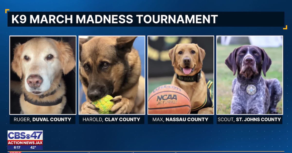 Florida Sheriffs Association kicks off K9 March Madness – Action News Jax