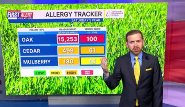 Near record warmth and plenty of pollen – Action News Jax