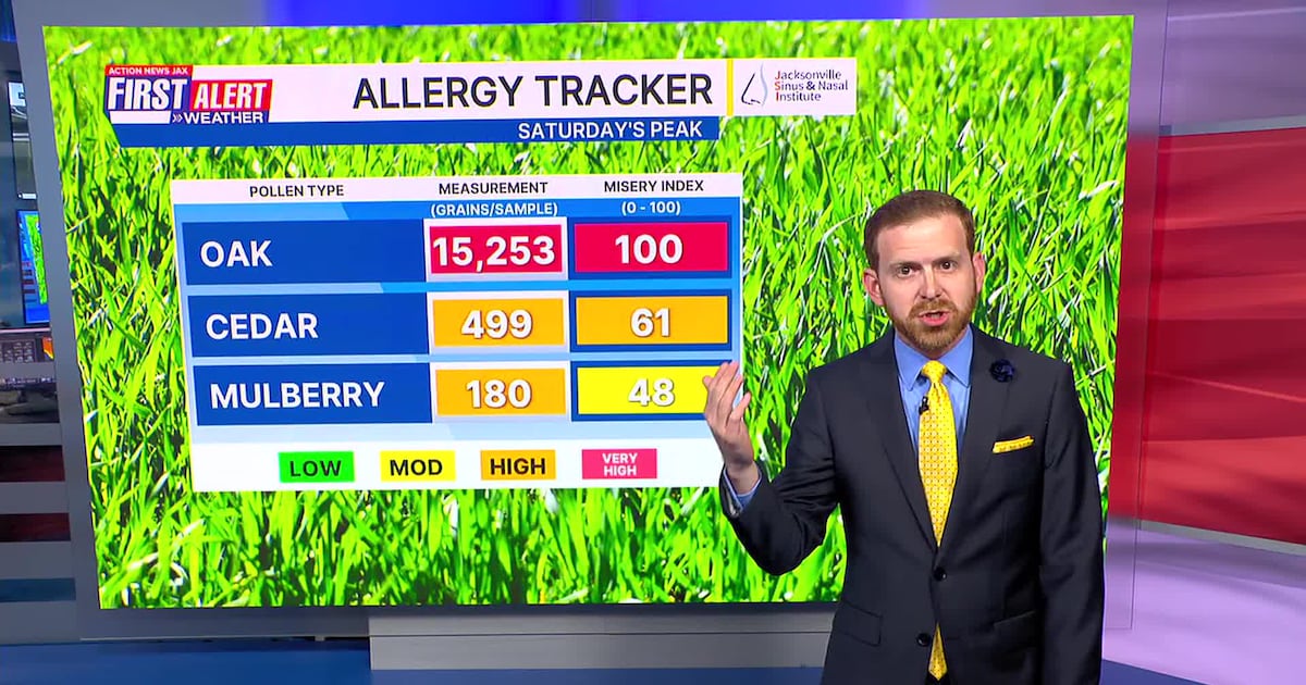 Near record warmth and plenty of pollen – Action News Jax