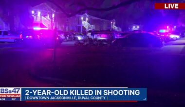 Two-year-old shot and killed after domestic dispute – Action News Jax