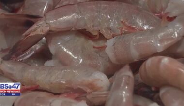 New study finds 57% of Jax restaurants surveyed misrepresented origins of shrimp – Action News Jax