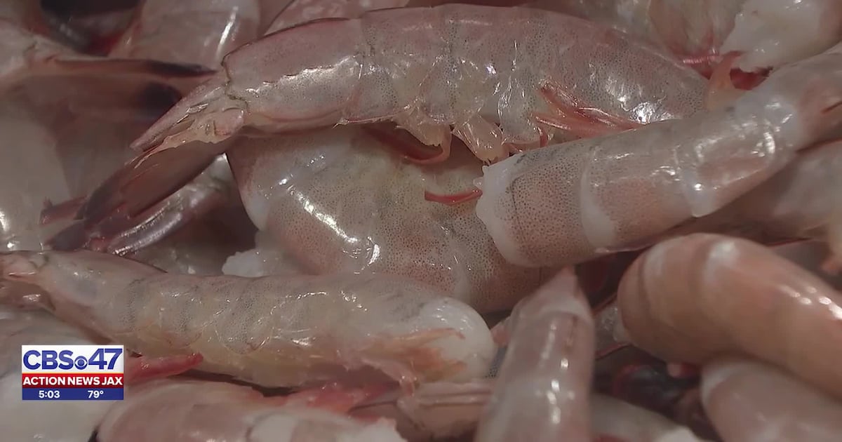 New study finds 57% of Jax restaurants surveyed misrepresented origins of shrimp – Action News Jax