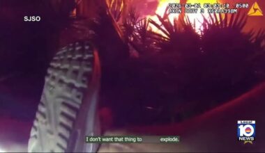 Video shows deputies rescue driver after fiery crash in Florida