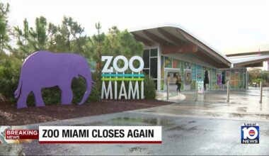 Zoo Miami reopened Sunday only to close again due to another bomb threat