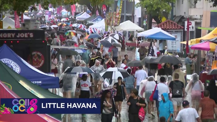 Local 10 Special: Calle Ocho