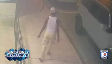 Videos show woman’s crime spree in downtown Fort Lauderdale